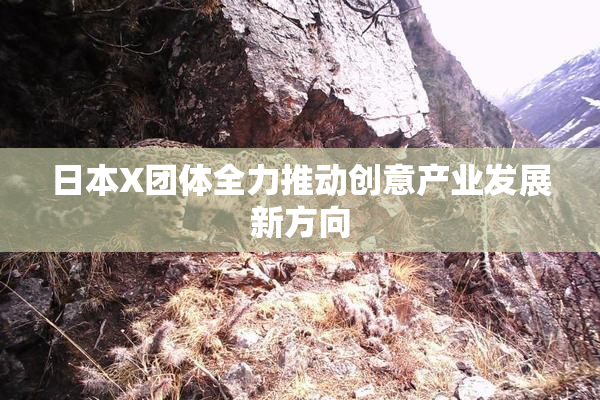 日本X团体全力推动创意产业发展新方向