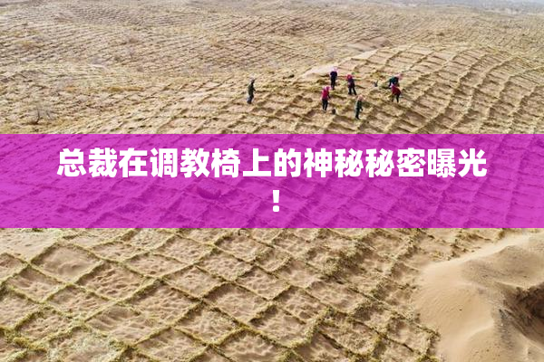 总裁在调教椅上的神秘秘密曝光！