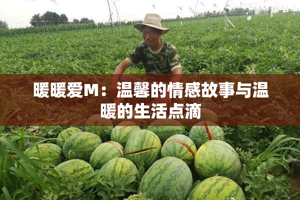 暖暖爱M：温馨的情感故事与温暖的生活点滴