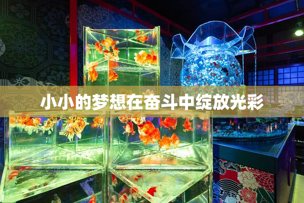 小小的梦想在奋斗中绽放光彩