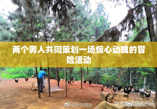 两个男人共同策划一场惊心动魄的冒险活动