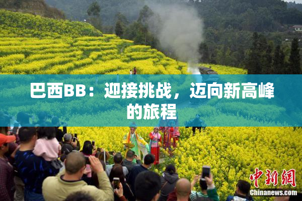巴西BB：迎接挑战，迈向新高峰的旅程