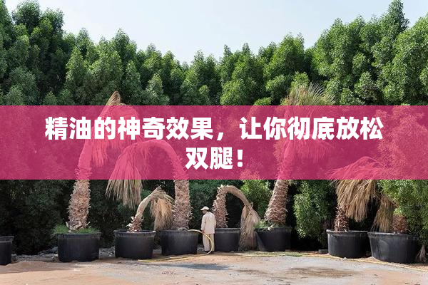 精油的神奇效果，让你彻底放松双腿！