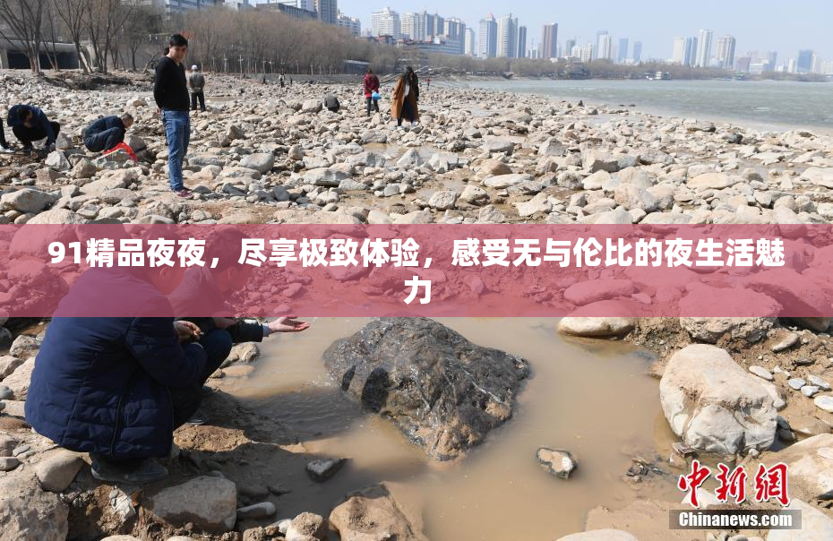 91精品夜夜，尽享极致体验，感受无与伦比的夜生活魅力
