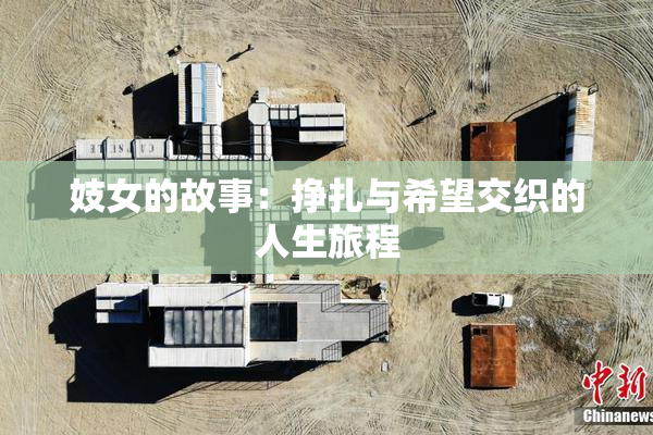 妓女的故事：挣扎与希望交织的人生旅程
