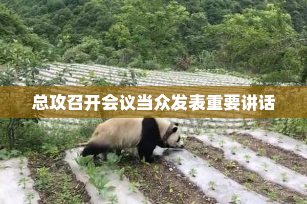 总攻召开会议当众发表重要讲话