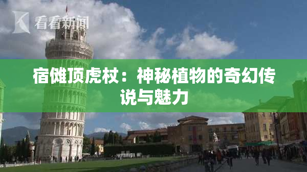 宿傩顶虎杖：神秘植物的奇幻传说与魅力