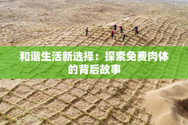 和谐生活新选择：探索免费肉体的背后故事