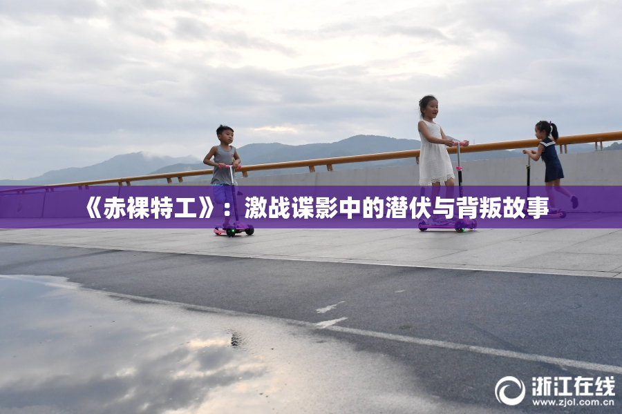 《赤裸特工》：激战谍影中的潜伏与背叛故事