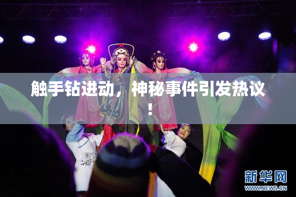 触手钻进动，神秘事件引发热议！