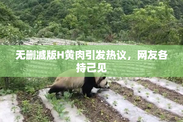 无删减版H黄肉引发热议，网友各持己见