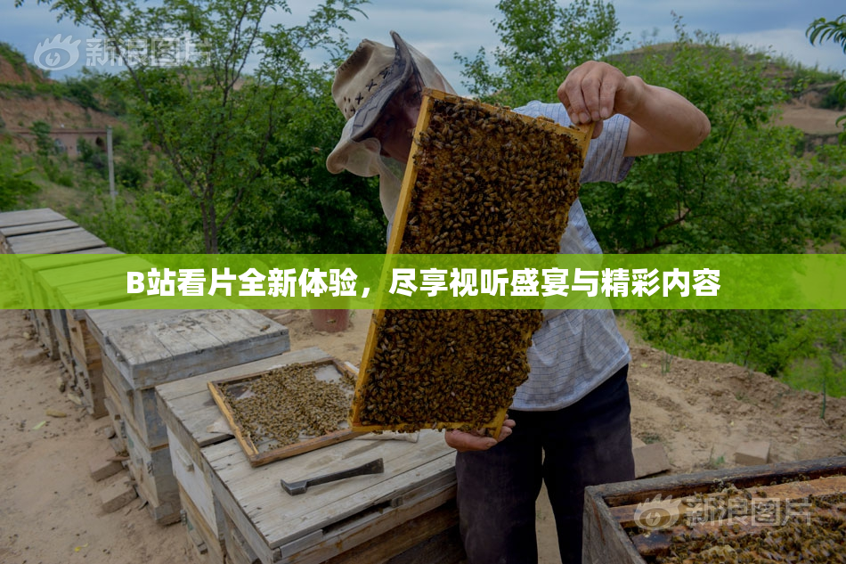 B站看片全新体验，尽享视听盛宴与精彩内容