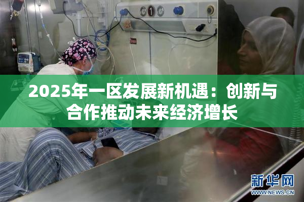 2025年一区发展新机遇：创新与合作推动未来经济增长