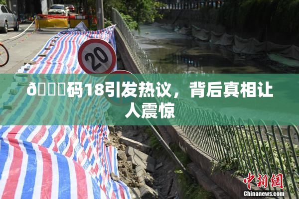 🈚码18引发热议，背后真相让人震惊