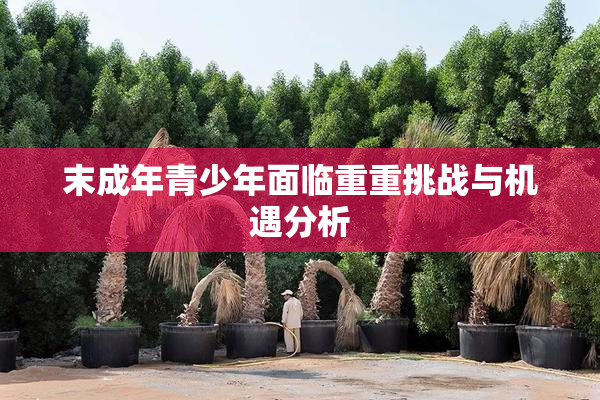 末成年青少年面临重重挑战与机遇分析