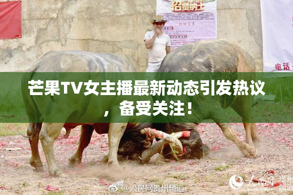 芒果TV女主播最新动态引发热议，备受关注！
