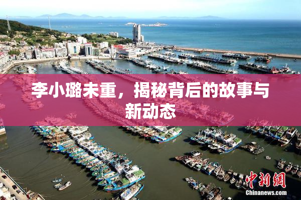 李小璐未重，揭秘背后的故事与新动态