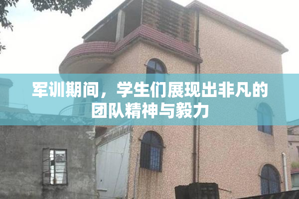 军训期间，学生们展现出非凡的团队精神与毅力
