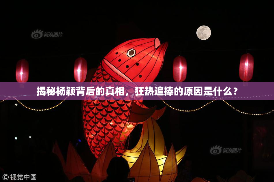 揭秘杨颖背后的真相，狂热追捧的原因是什么？