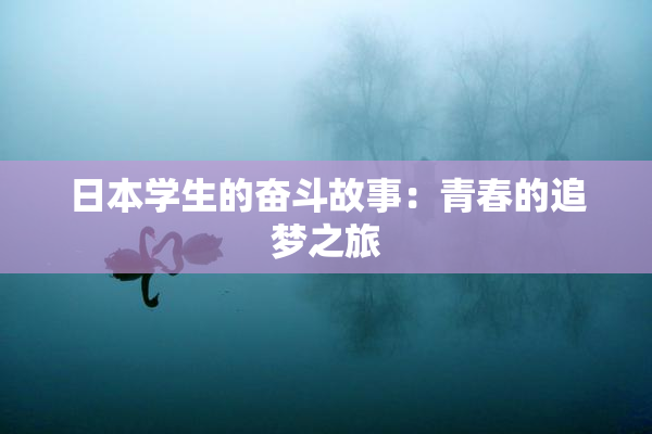 日本学生的奋斗故事：青春的追梦之旅