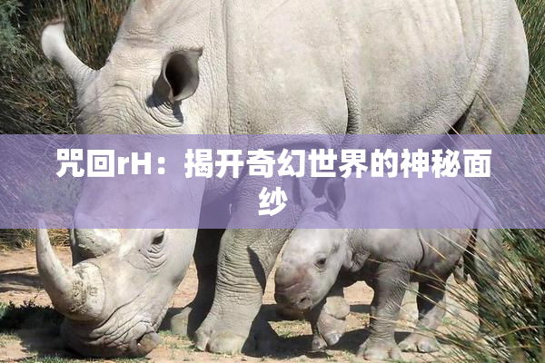 咒回rH：揭开奇幻世界的神秘面纱