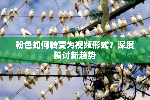 粉色如何转变为视频形式？深度探讨新趋势