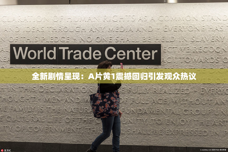 全新剧情呈现：A片黄1震撼回归引发观众热议
