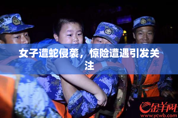 女子遭蛇侵袭，惊险遭遇引发关注