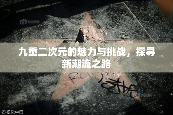 九重二次元的魅力与挑战，探寻新潮流之路