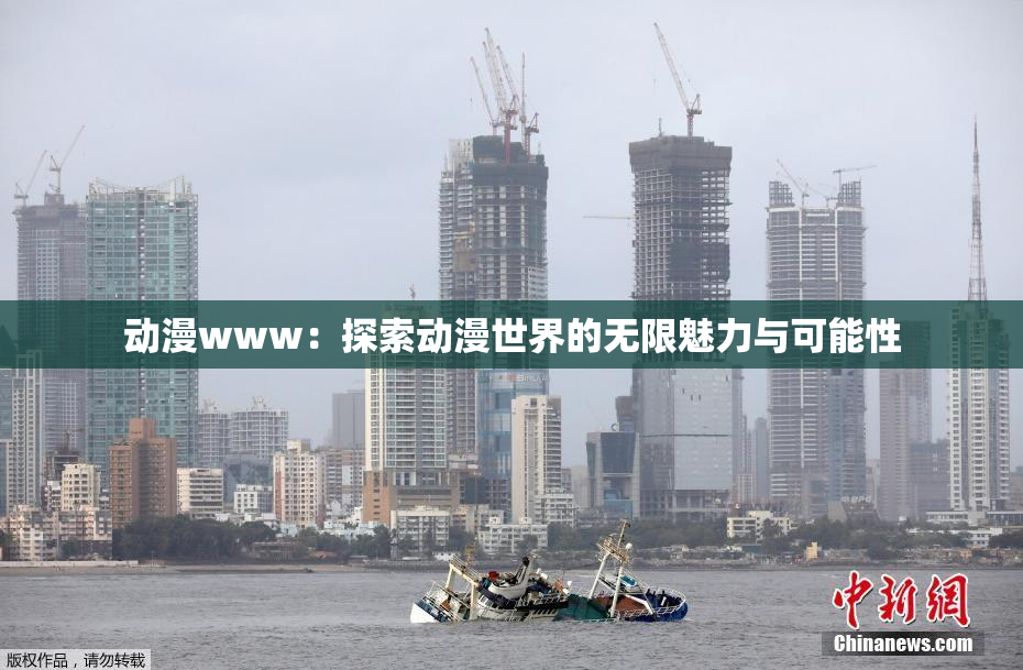 动漫www：探索动漫世界的无限魅力与可能性