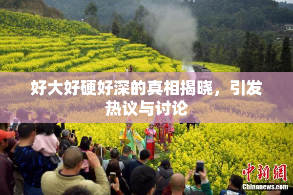 好大好硬好深的真相揭晓，引发热议与讨论