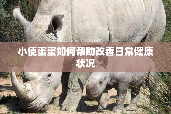 小便蛋蛋如何帮助改善日常健康状况