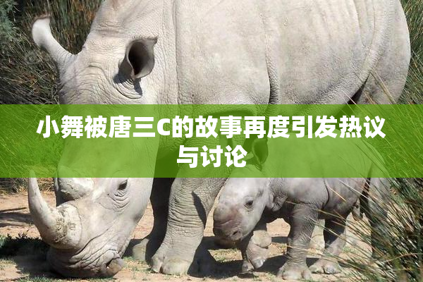小舞被唐三C的故事再度引发热议与讨论