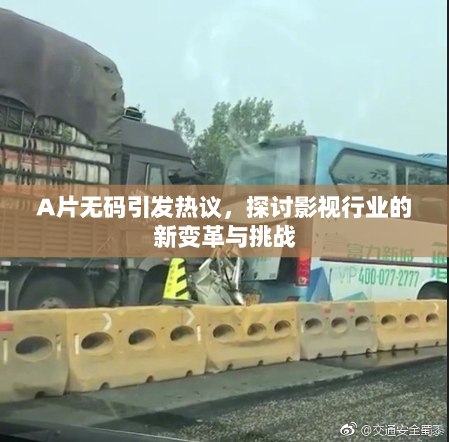 A片无码引发热议，探讨影视行业的新变革与挑战