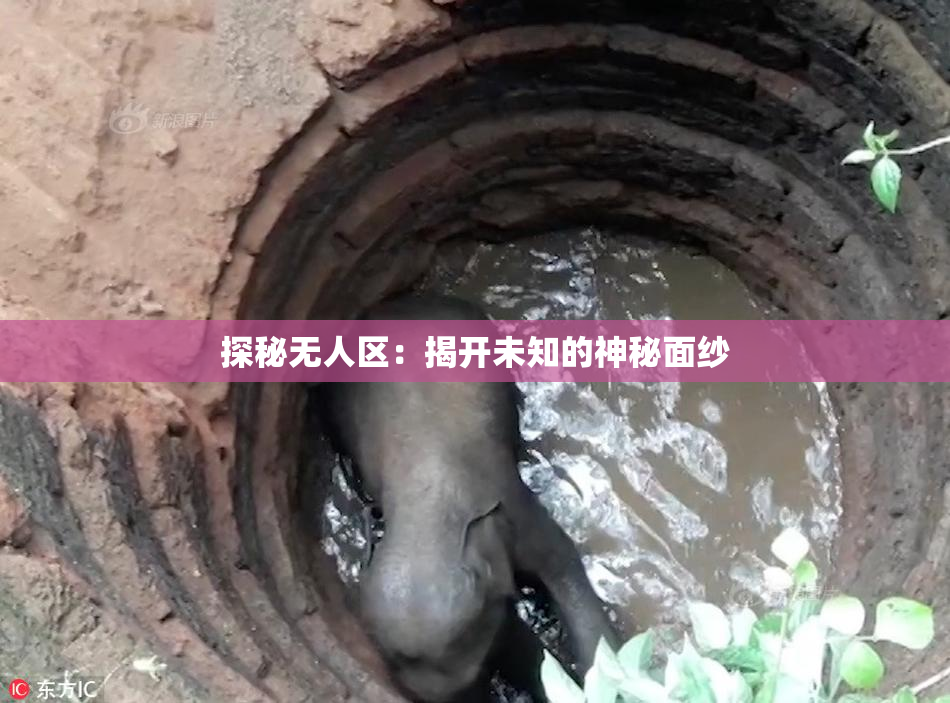 探秘无人区：揭开未知的神秘面纱