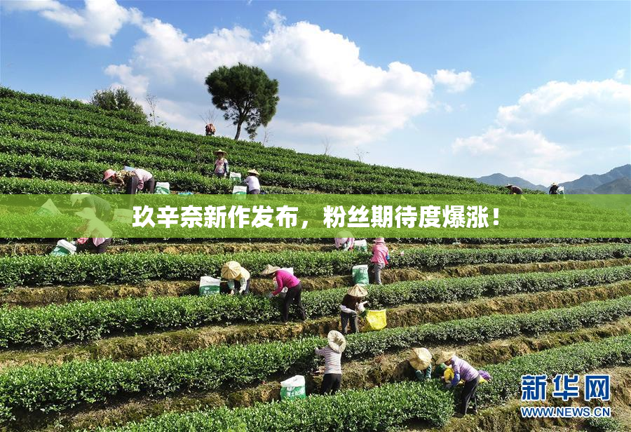 玖辛奈新作发布，粉丝期待度爆涨！