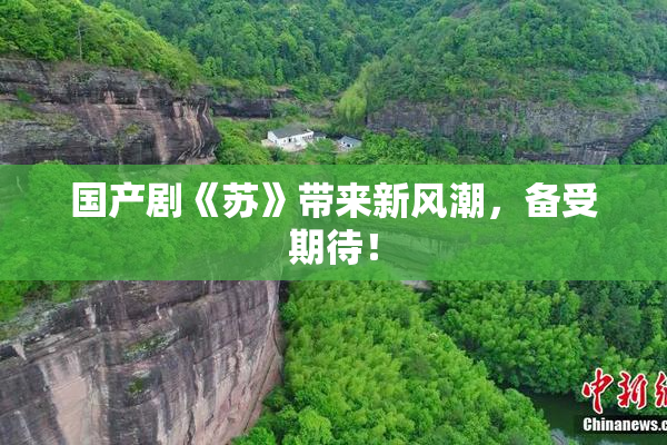 国产剧《苏》带来新风潮，备受期待！