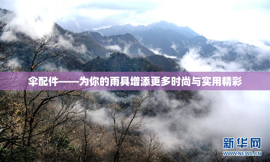 伞配件——为你的雨具增添更多时尚与实用精彩