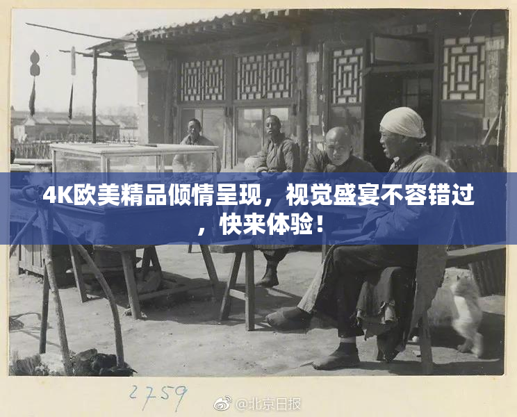 4K欧美精品倾情呈现，视觉盛宴不容错过，快来体验！