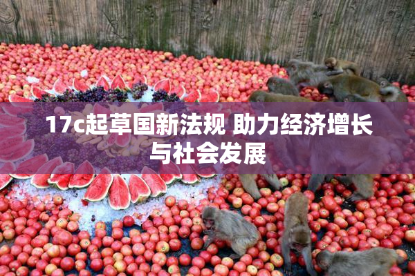 17c起草国新法规 助力经济增长与社会发展