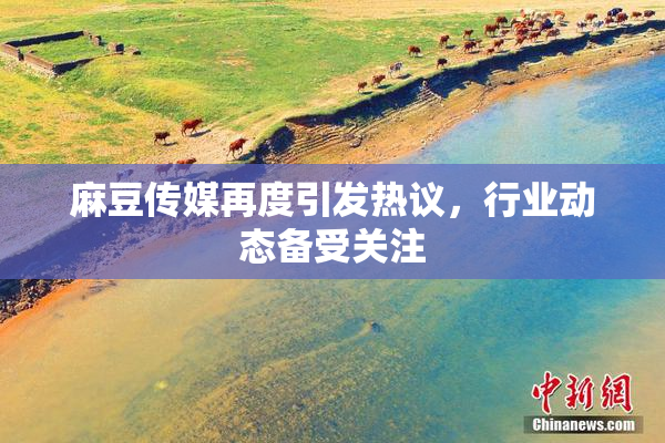 麻豆传媒再度引发热议，行业动态备受关注
