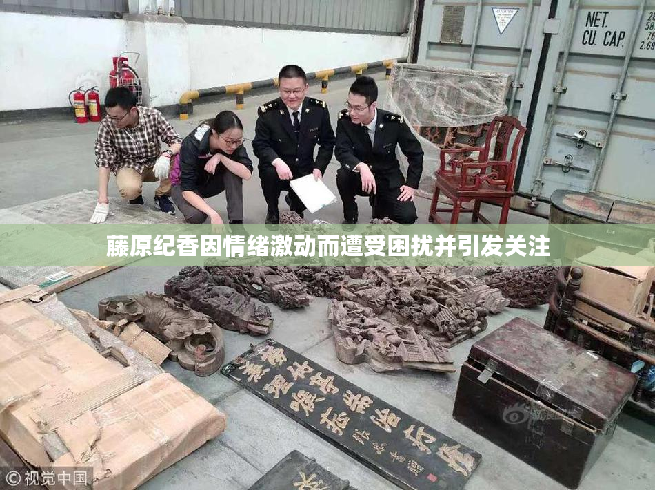 藤原纪香因情绪激动而遭受困扰并引发关注