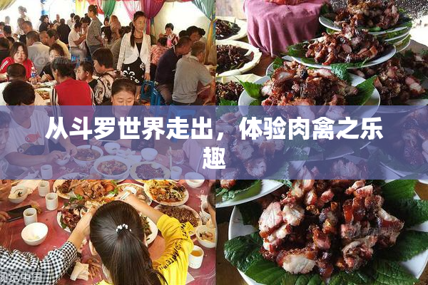 从斗罗世界走出，体验肉禽之乐趣
