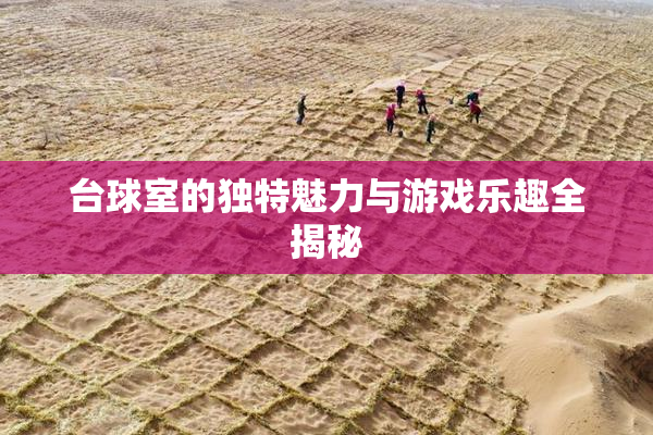 台球室的独特魅力与游戏乐趣全揭秘