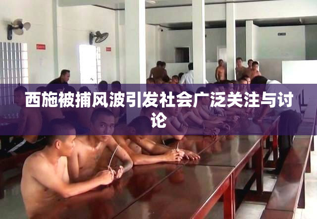 西施被捕风波引发社会广泛关注与讨论