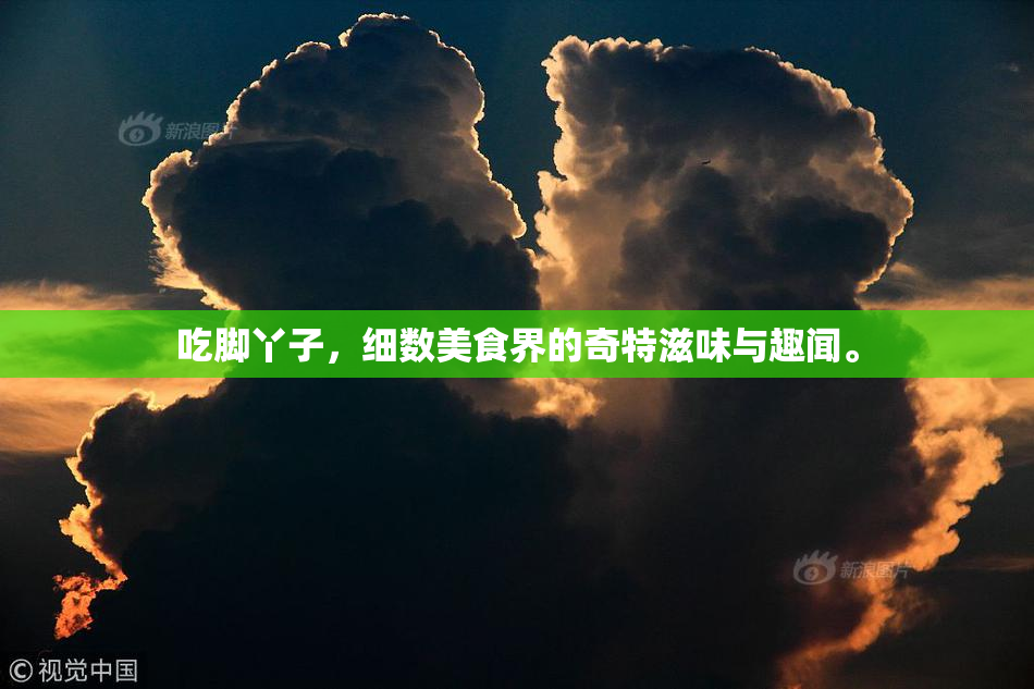 吃脚丫子，细数美食界的奇特滋味与趣闻。