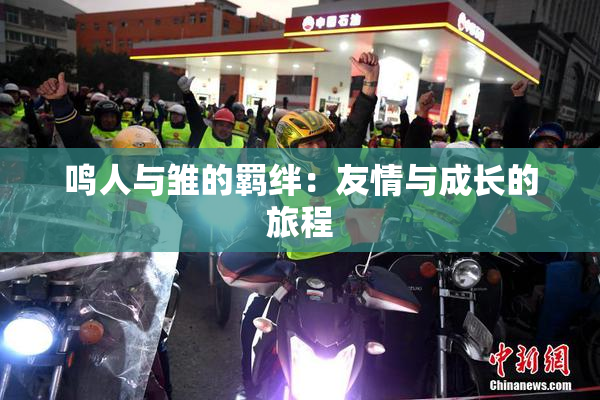 鸣人与雏的羁绊：友情与成长的旅程