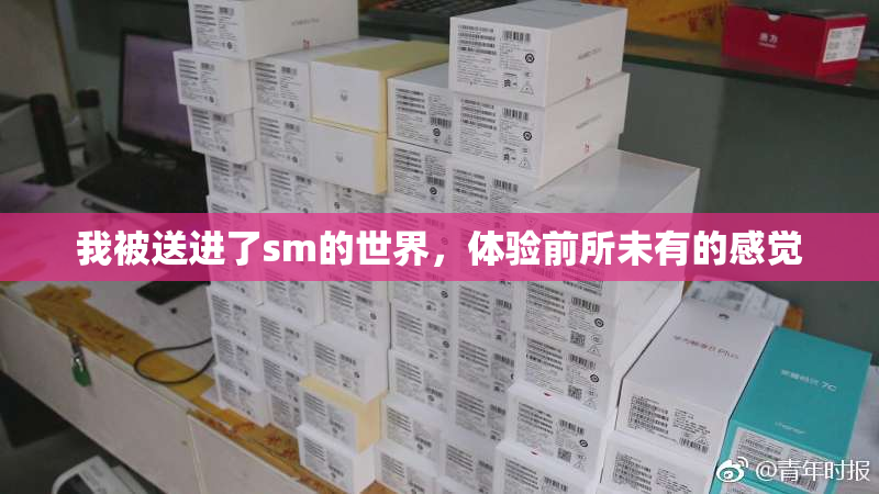 我被送进了sm的世界，体验前所未有的感觉