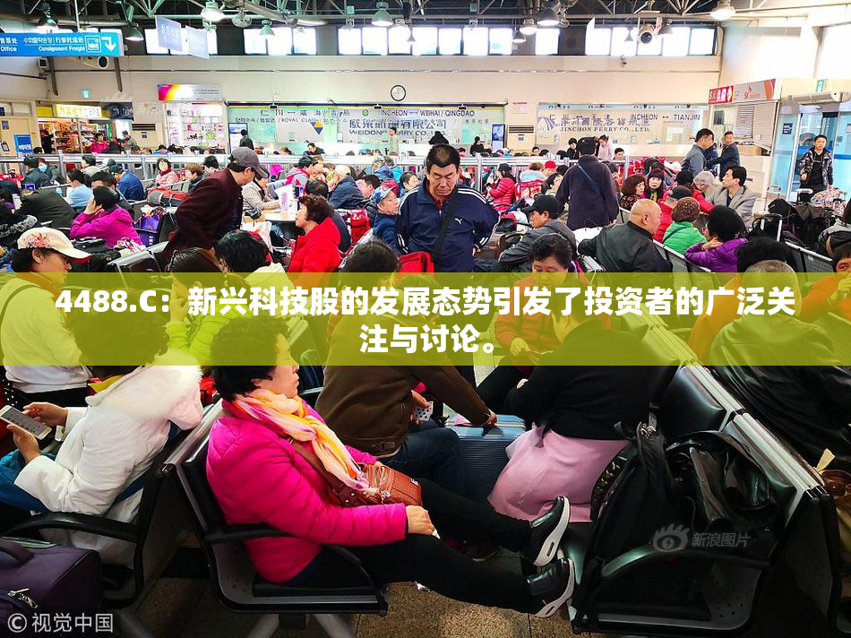 4488.C：新兴科技股的发展态势引发了投资者的广泛关注与讨论。
