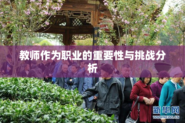 教师作为职业的重要性与挑战分析